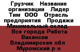 Грузчик › Название организации ­ Лидер Тим, ООО › Отрасль предприятия ­ Продажи › Минимальный оклад ­ 1 - Все города Работа » Вакансии   . Владимирская обл.,Муромский р-н